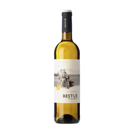 Bestué Chardonnay DO Somontano | Wonderful Wines