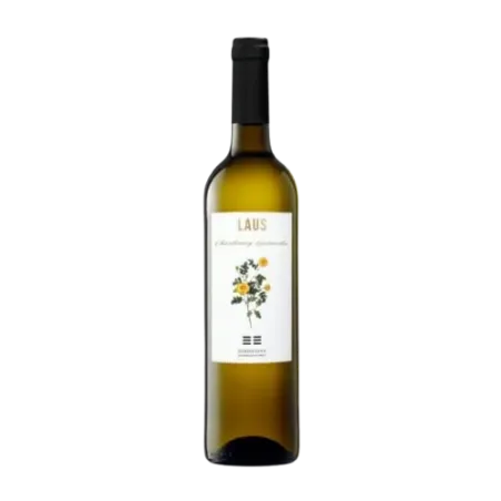 LAUS Blanc Chardonnay i Garnatxa DO Somontano | Wonderful Wines