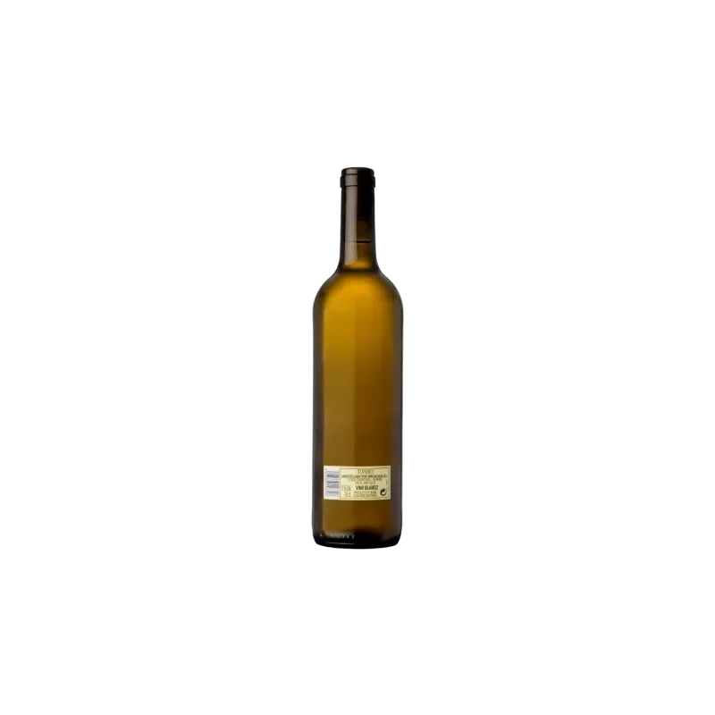 Botella de vino Turbio bien frío ideal para maridar con marisco y tapas de pescado
