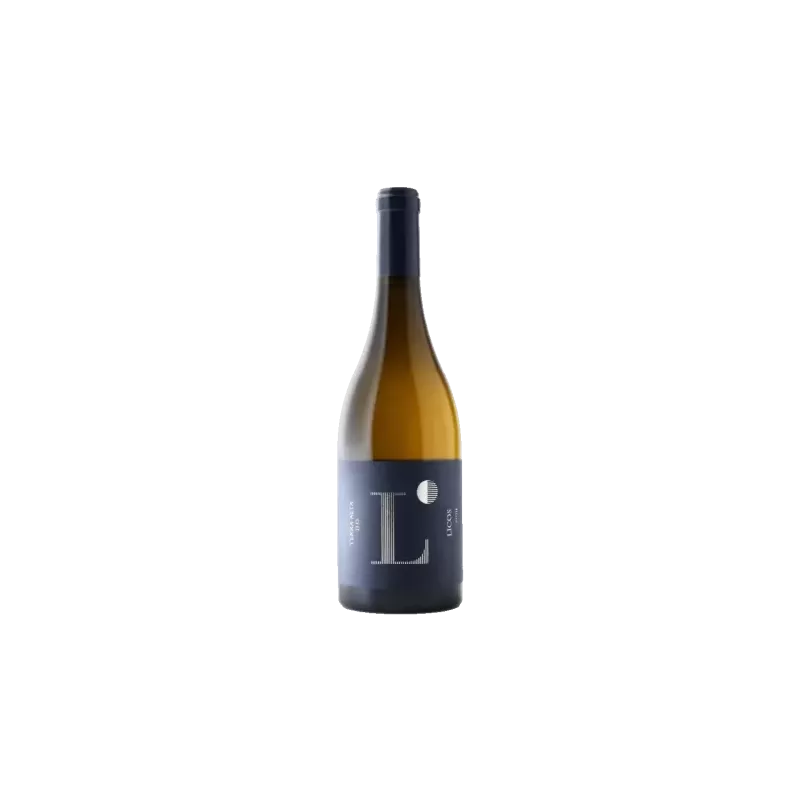 Licos Clos Pachem DO Terra Alta | Wonderful Wines
