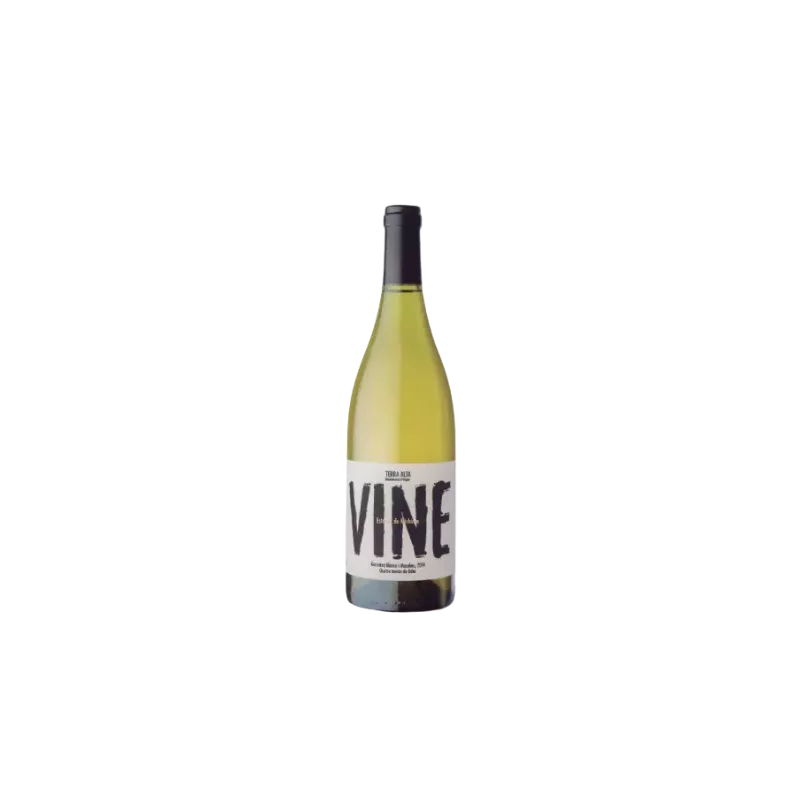 Vine | DO Terra Alta