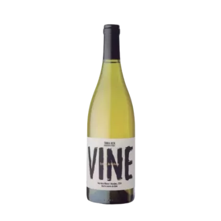 Vine | DO Terra Alta