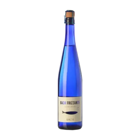 Bach Frizzante Moscato DO Catalunya | Wonderful Wines