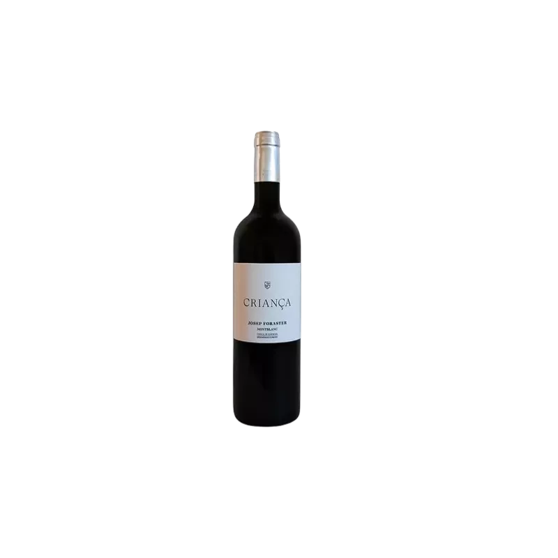 Josep Foraster Crianza DO Conca de Barberà | Wonderful Wines