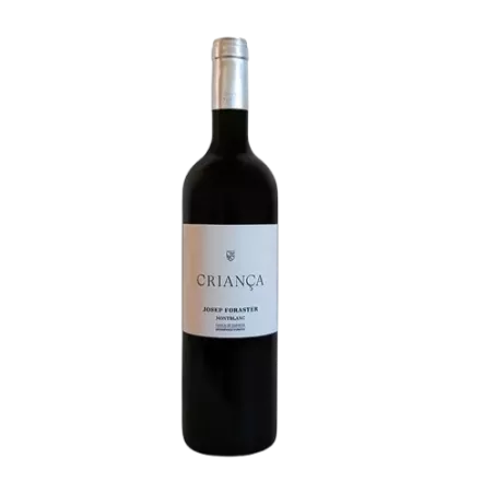 Josep Foraster Crianza DO Conca de Barberà | Wonderful Wines