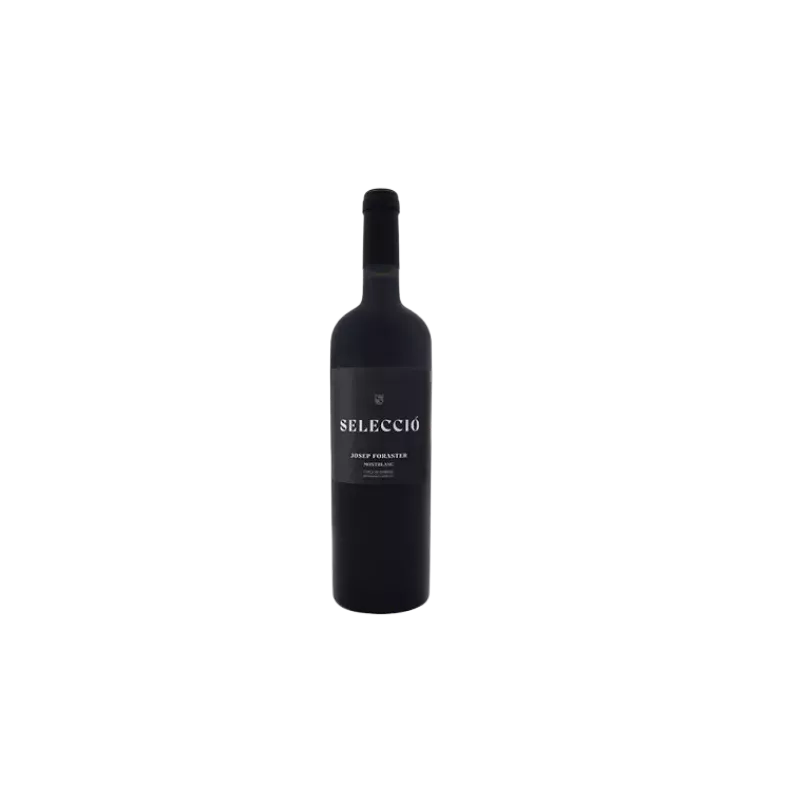 Josep Foraster Selecció DO Conca de Barberà | Wonderful Wines