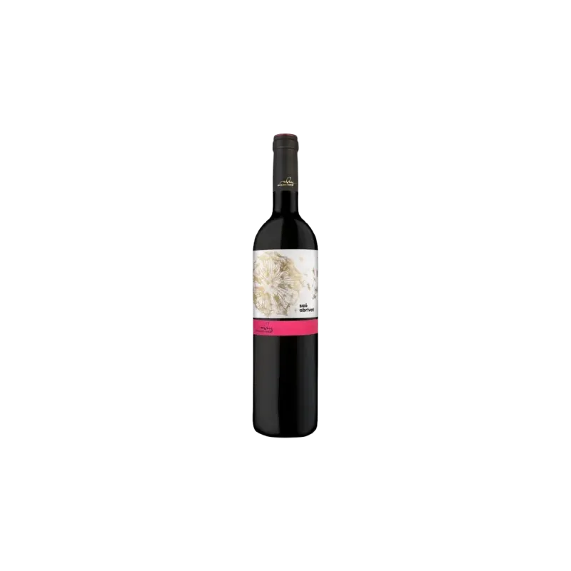 Saó Abrivat Mas Blanch i Jové DO Costers del Segre | Wonderful Wines