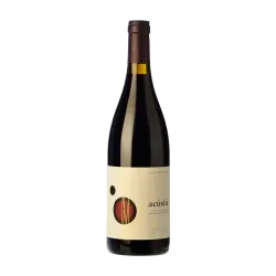 Acústic Negre Acústic Celler DO Montsant | Wonderful Wines