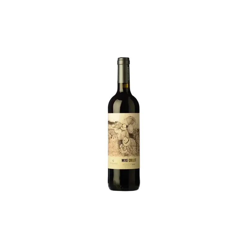 Mas Collet Celler de Capçanes DO Montsant | Wonderful Wines