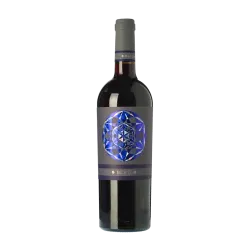 Blau Can Blau DO Montsant | Wonderful Wines