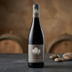Vino Tinto Malella DO Montsant | Wonderful Wines