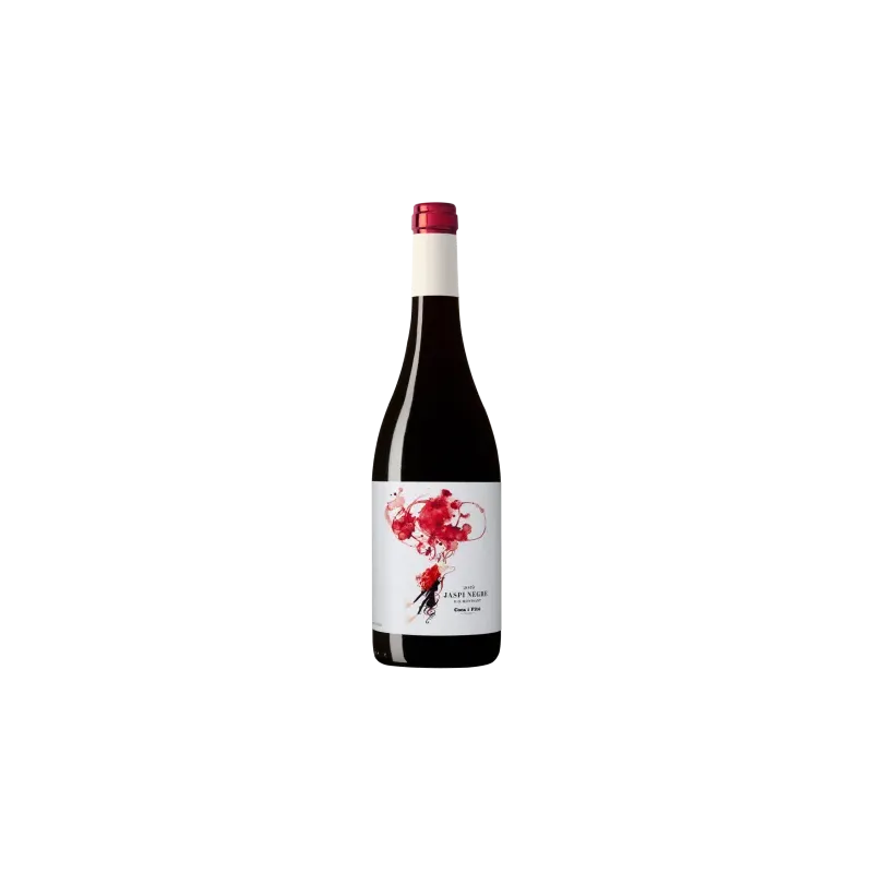 Jaspí Negre Coca i Fitó DO Montsant | Wonderful Wines
