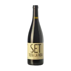 Vino Set Tota la Vida Estones de Mishima DO Montsant | Wonderful Wines
