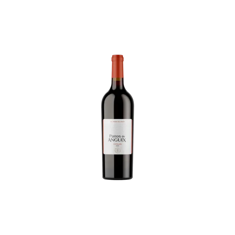 Vino Pagos de Anguix Costalara | DO Ribera del Duero | Wonderful Wines