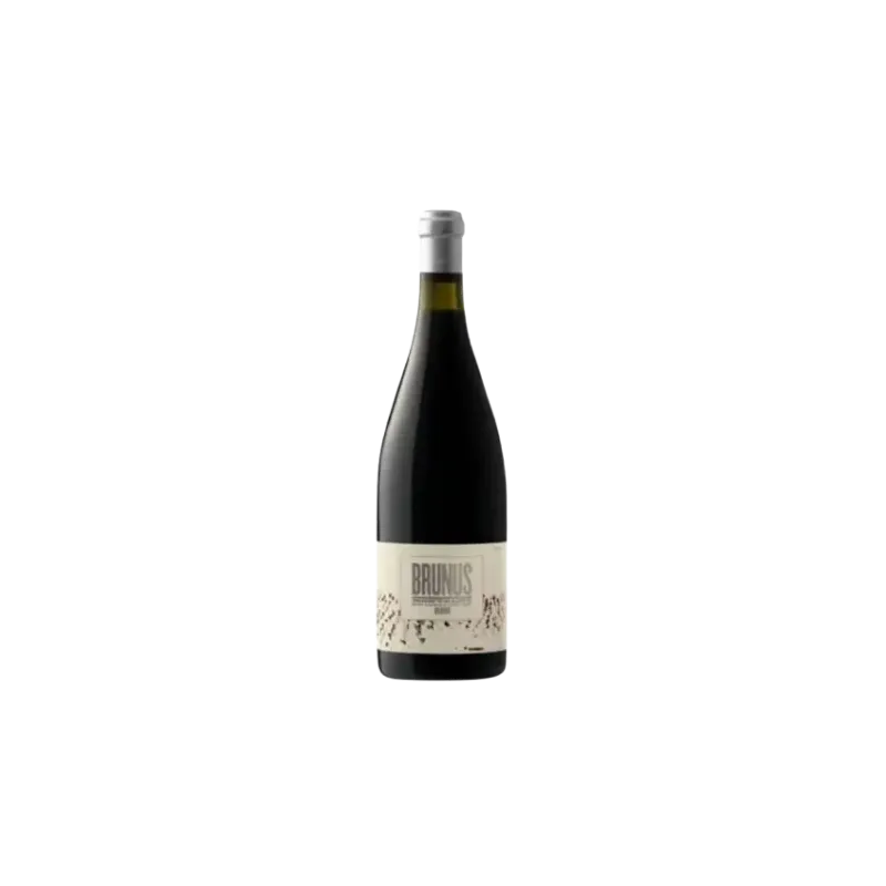 Vino Brunus DO Montsant | Samsó, Garnacha y Syrah | Wonderful Wines