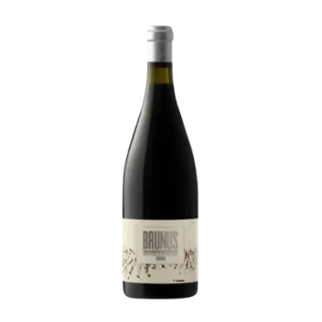 Vino Brunus DO Montsant | Samsó, Garnacha y Syrah | Wonderful Wines