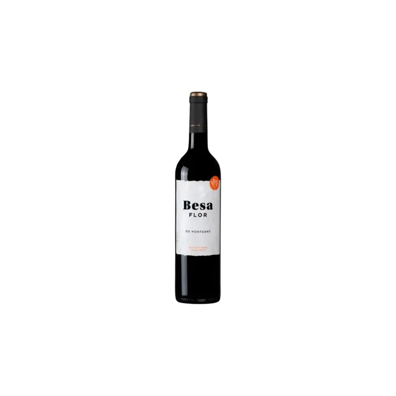 Besa Flor DO Montsant Red Wine | Wonderful Wines