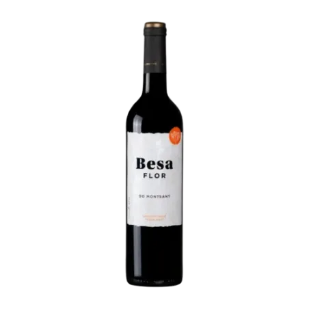 Besa Flor DO Montsant Red Wine | Wonderful Wines