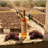 Ximénez-Spínola Delicado DO Jerez | Vino Dulce de Pasas Natural | Wonderful Wines