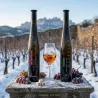 Gramona Vi de Glass Gewürztraminer | Vi de Gel | Wonderful Wines