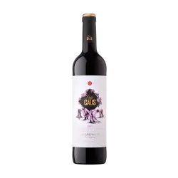 Petit Caus Negre Can Ràfols dels Caus DO Penedès | Vino Tinto Joven