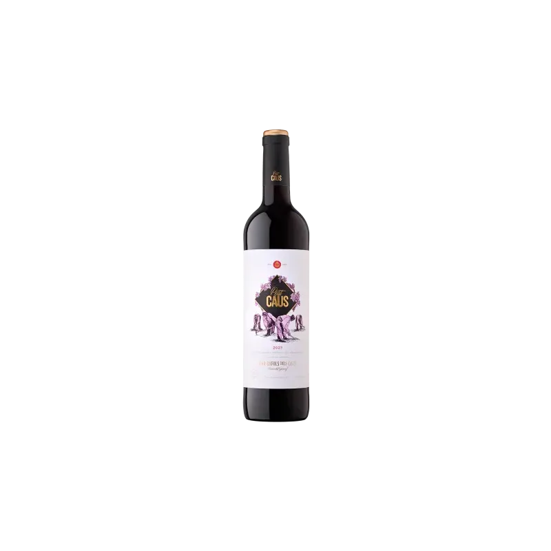 Petit Caus Negre Can Ràfols dels Caus DO Penedès | Vino Tinto Joven