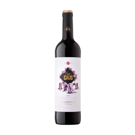 Petit Caus Negre Can Ràfols dels Caus DO Penedès | Vino Tinto Joven