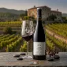 Clos Colltor Vins Colltor | Vino Tinto de Merlot y Mandó