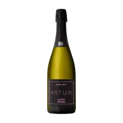 Colet Vatua! Rosé Brut DO Clàssic Penedès | Espumoso Rosado Ecológico