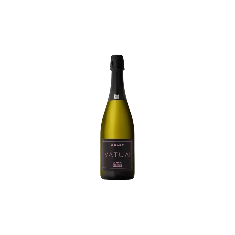 Colet Vatua! Rosé Brut DO Clàssic Penedès | Espumoso Rosado Ecológico