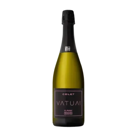 Colet Vatua! Rosé Brut DO Clàssic Penedès | Espumoso Rosado Ecológico