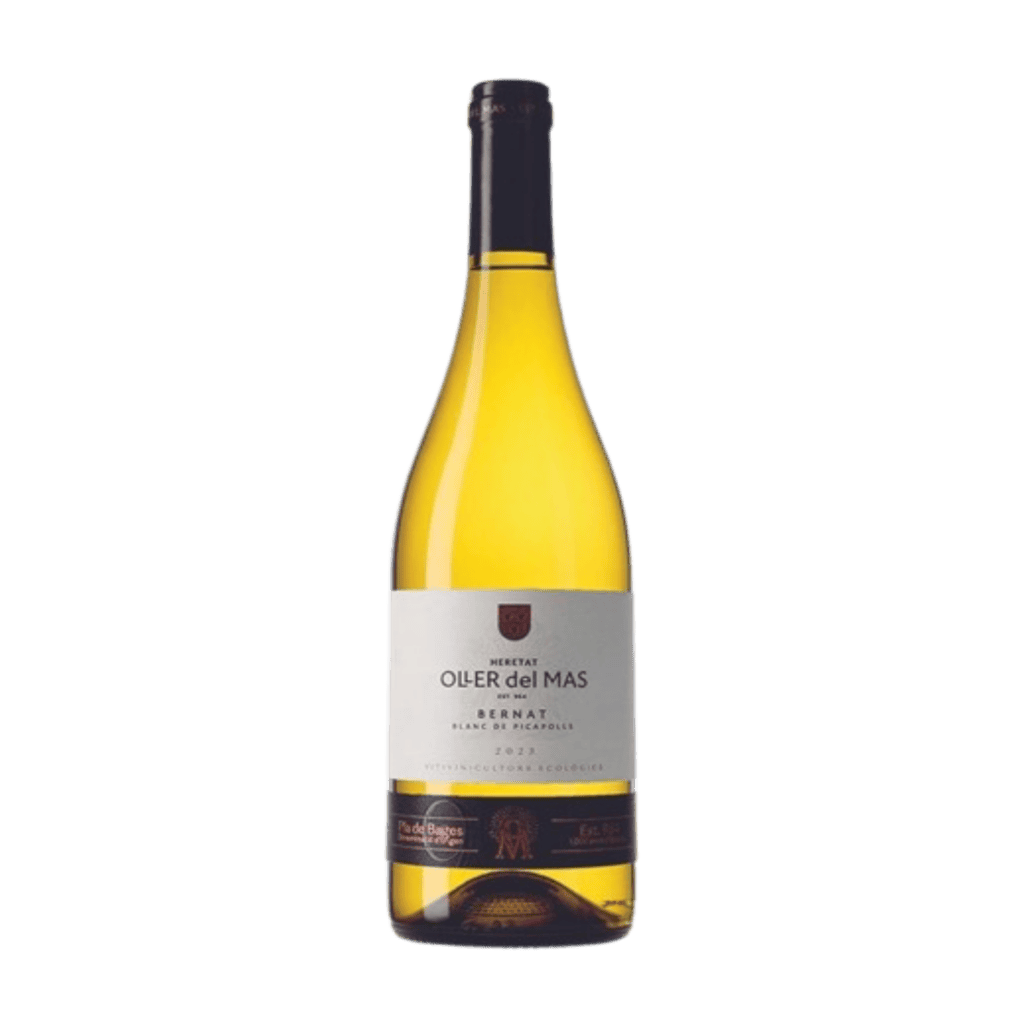 Vi blanc de noirs Bernat Blanc d'Oller del Mas, elaborat amb Picapoll Negre de la DO Pla de Bages.